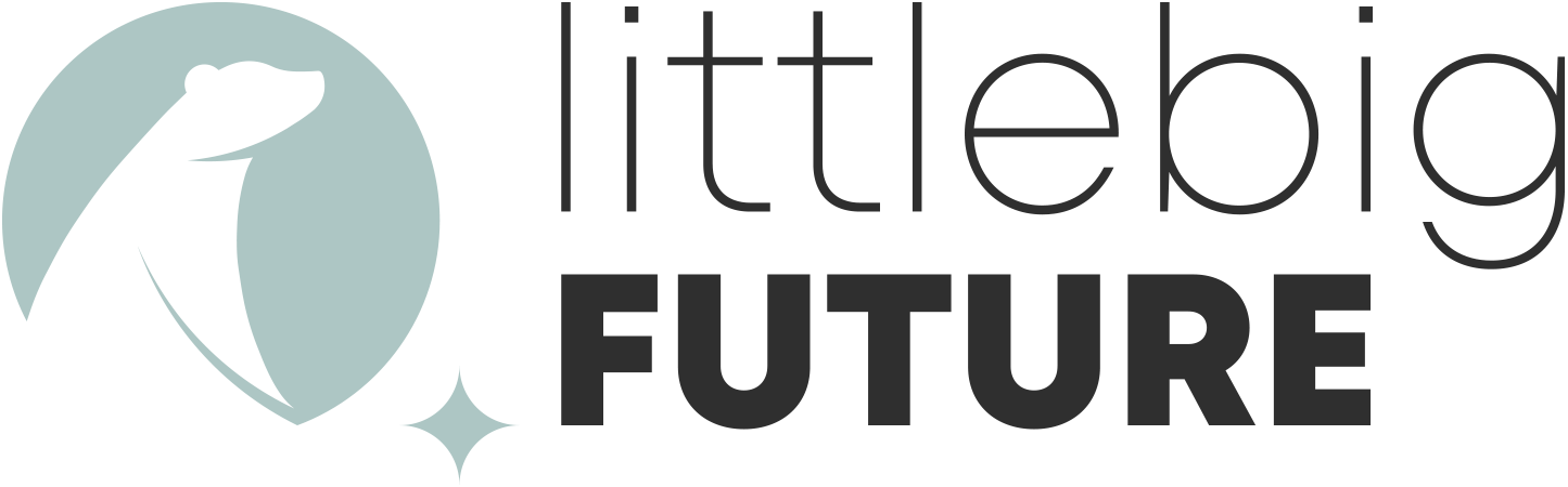 littlebigfuture-logo.png, littlebigFuture Logo