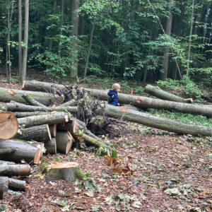 Startschuss bei den Waldkindern in Hirschau