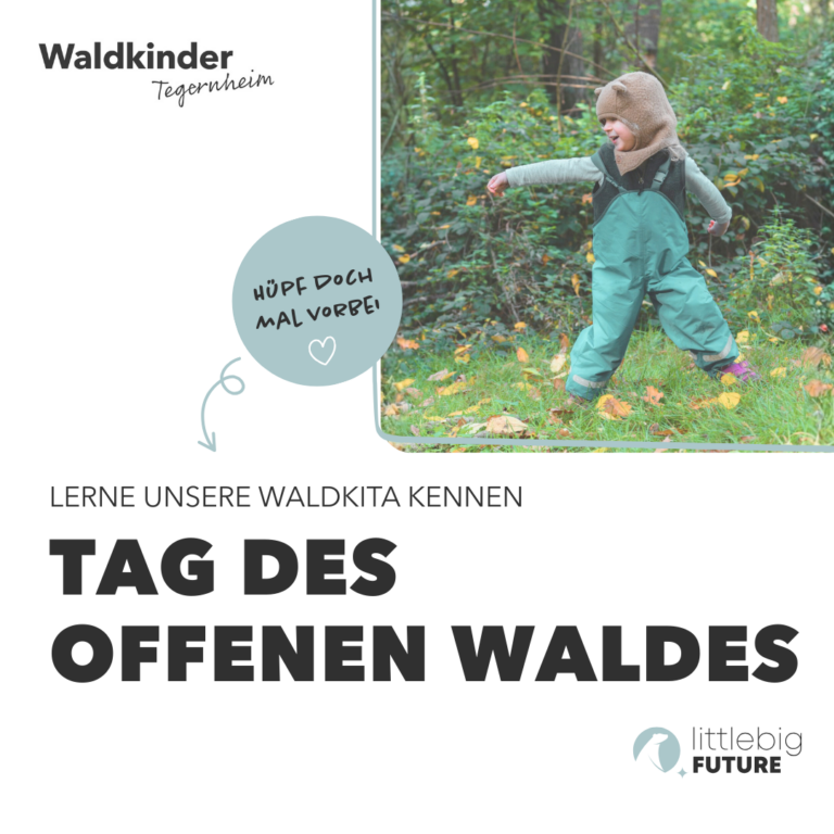 Tag des offenen Waldes