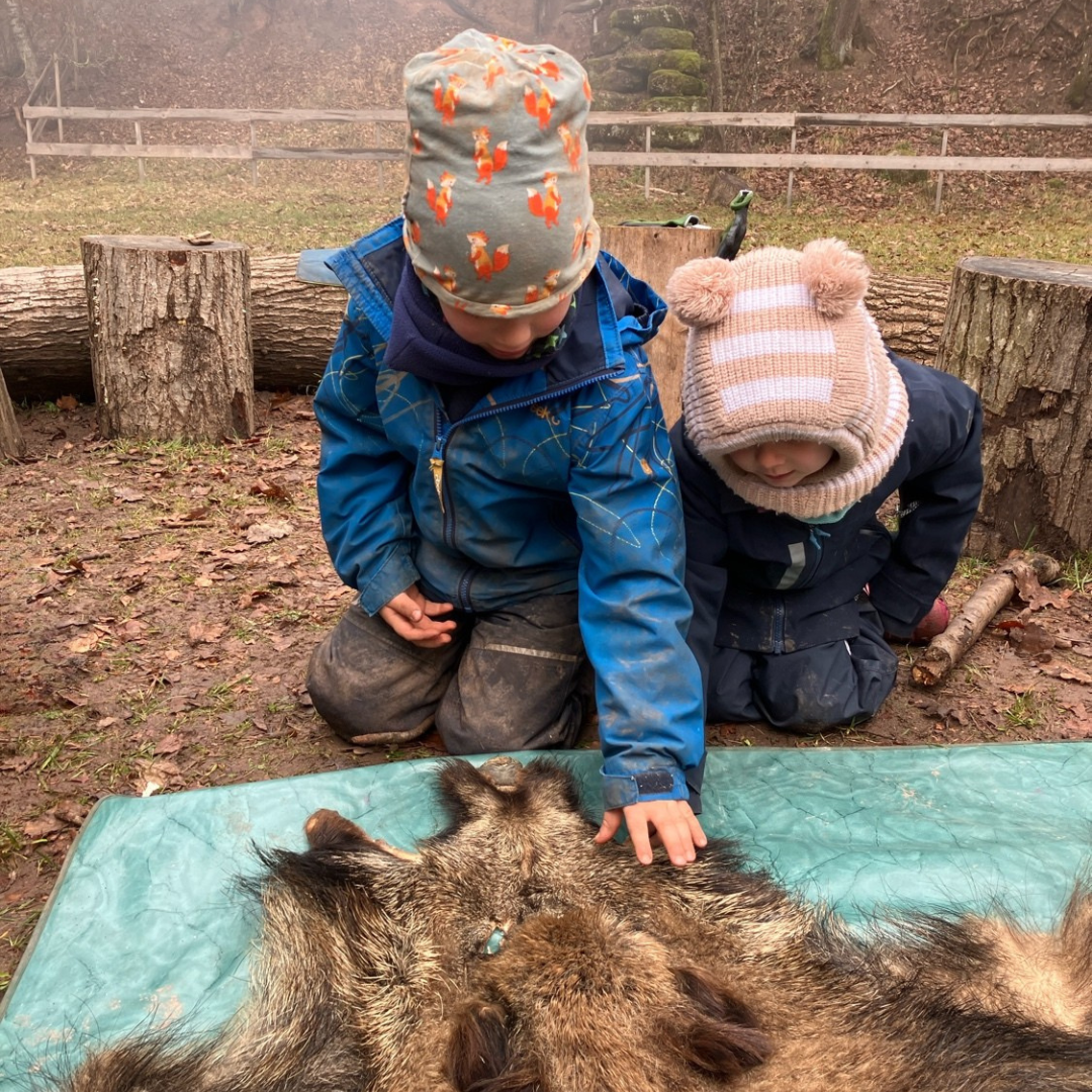 Zwei Kinder knien auf dem Waldboden und fühlen mit den Händen an einem Wildscheinfell.