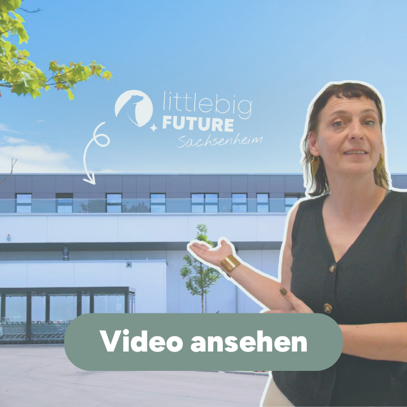 Video ansehen