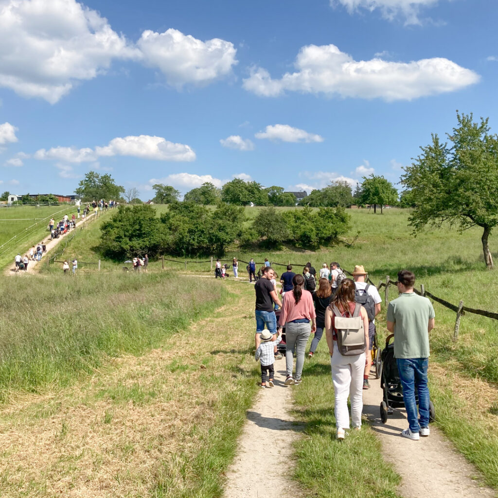 Familien wandern zusammen mit der Kita in der Natur